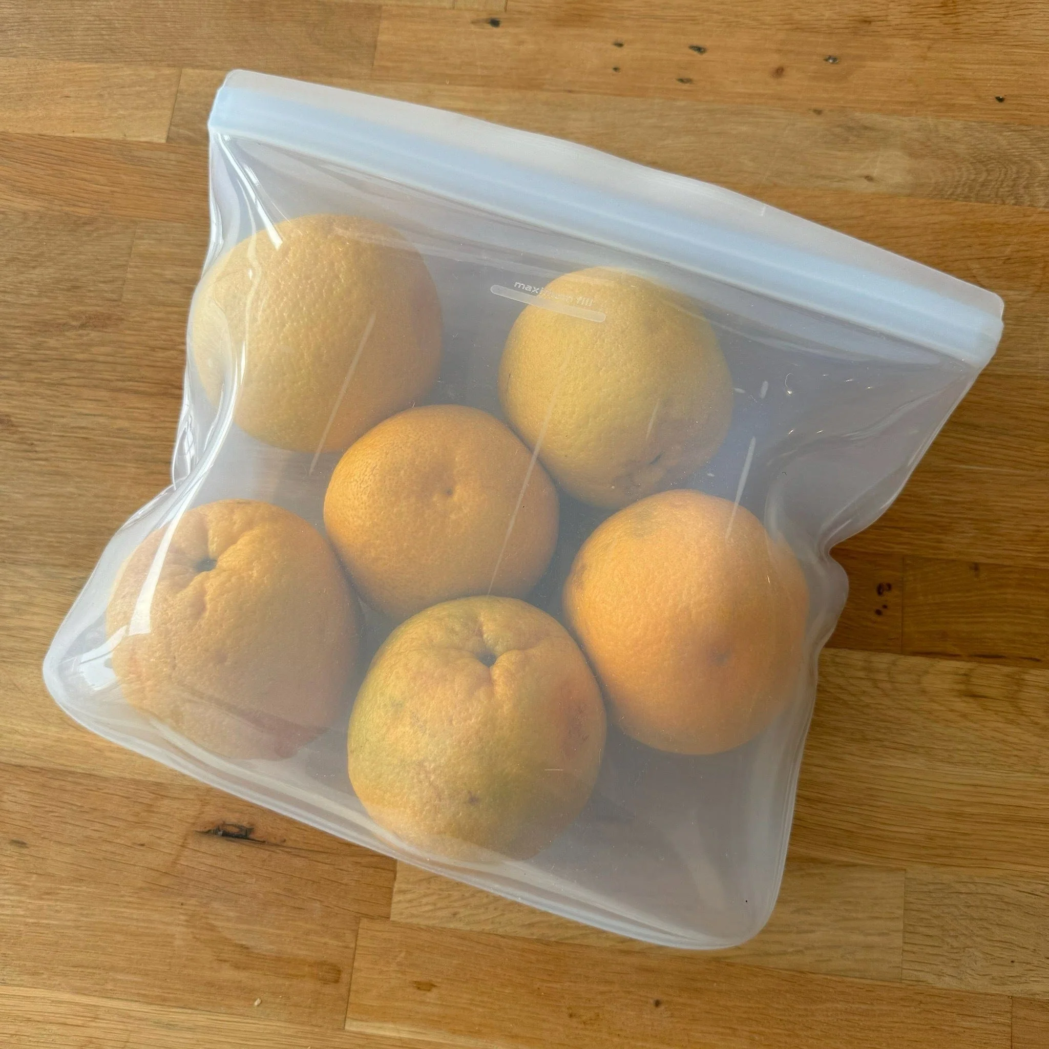 Gallon Bag - Image 14