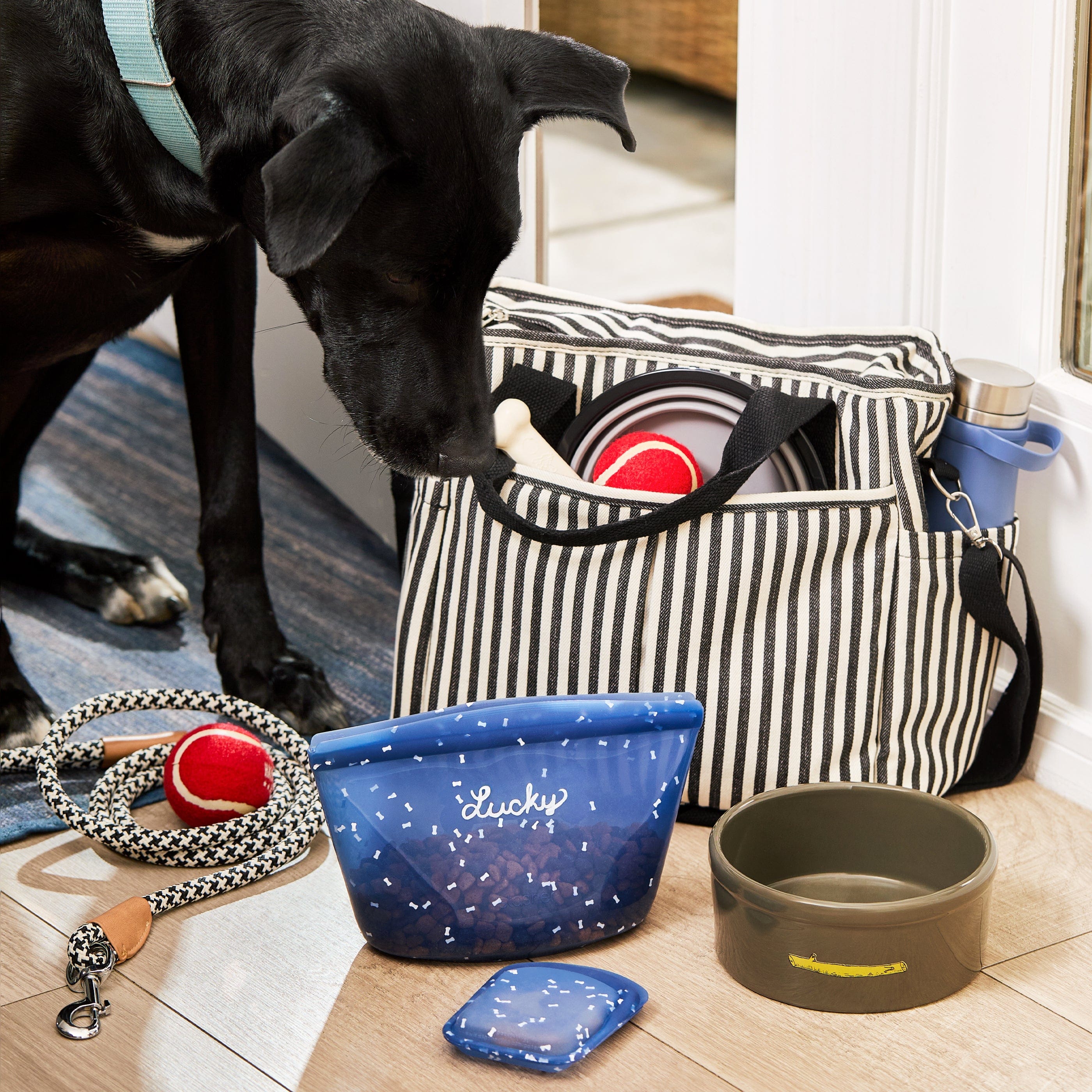 Pet Food Storage 5-Pack - Image 3