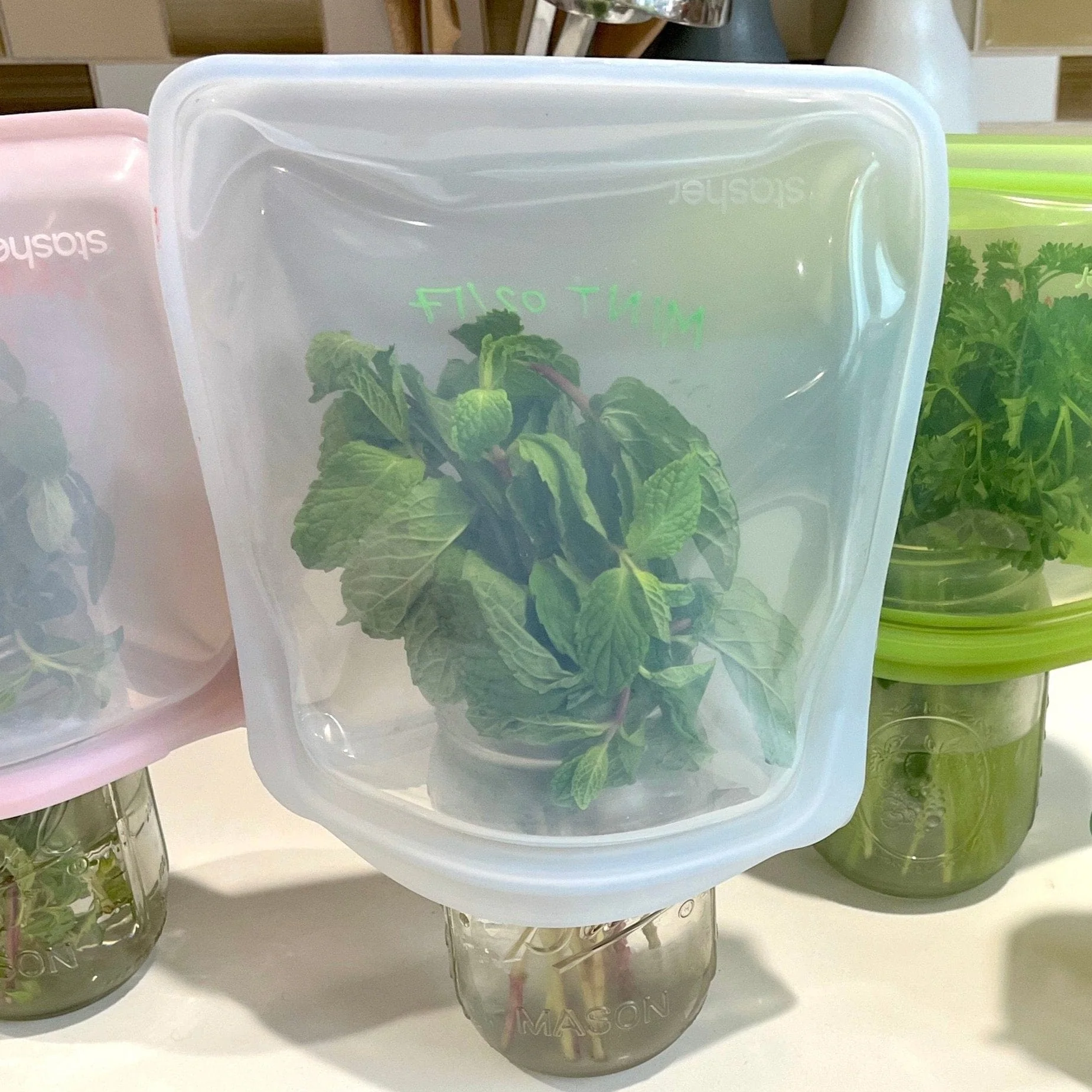 Half Gallon Bag - Image 25